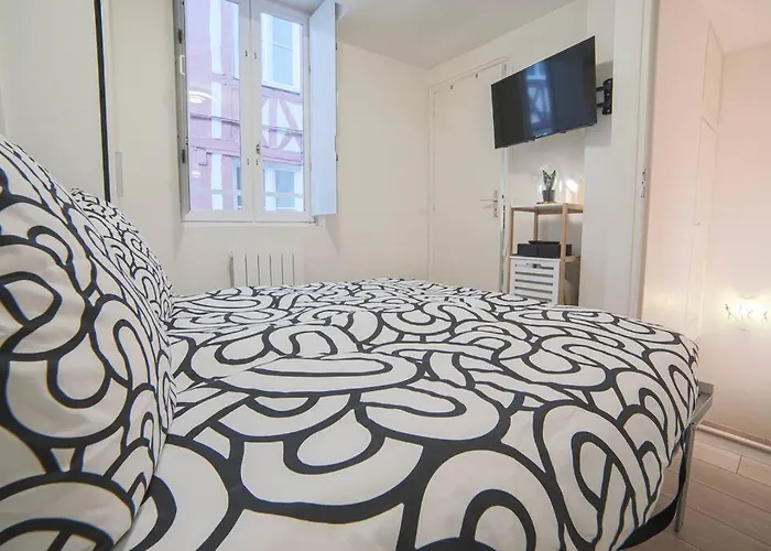 Duplex Cosy A Rouen Au Coeur Du Centre Historique